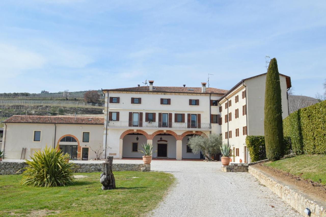 Verdeolivo 1876 - Apartments & Pool Mezzane di Sotto المظهر الخارجي الصورة