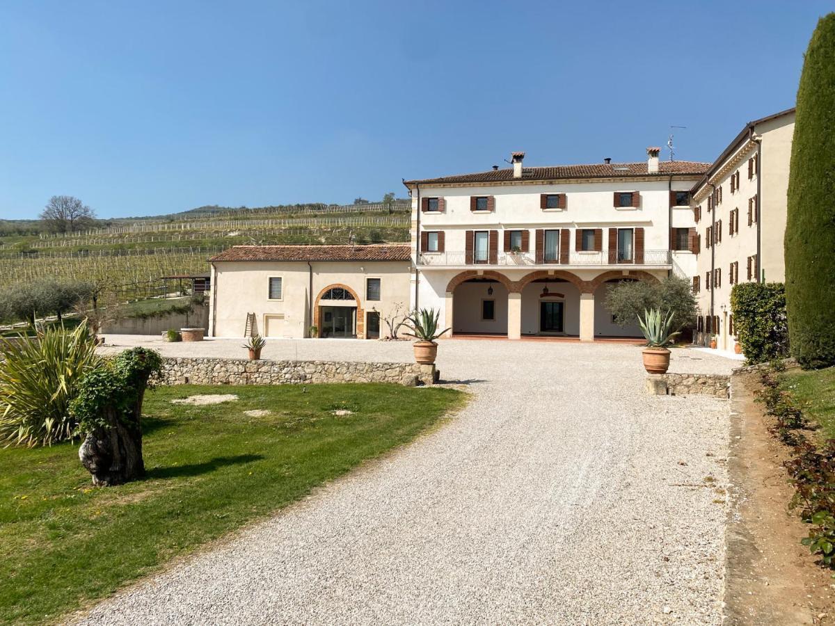 Verdeolivo 1876 - Apartments & Pool Mezzane di Sotto المظهر الخارجي الصورة